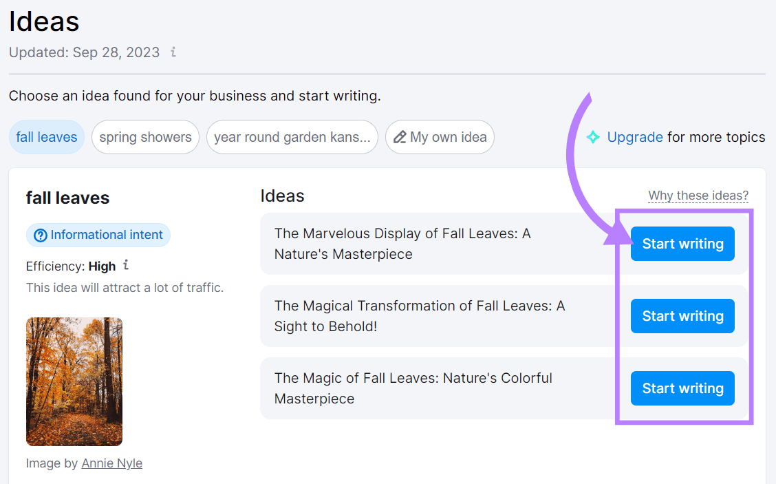 “Start writing” button highlighted next to the "fall leaves" idea