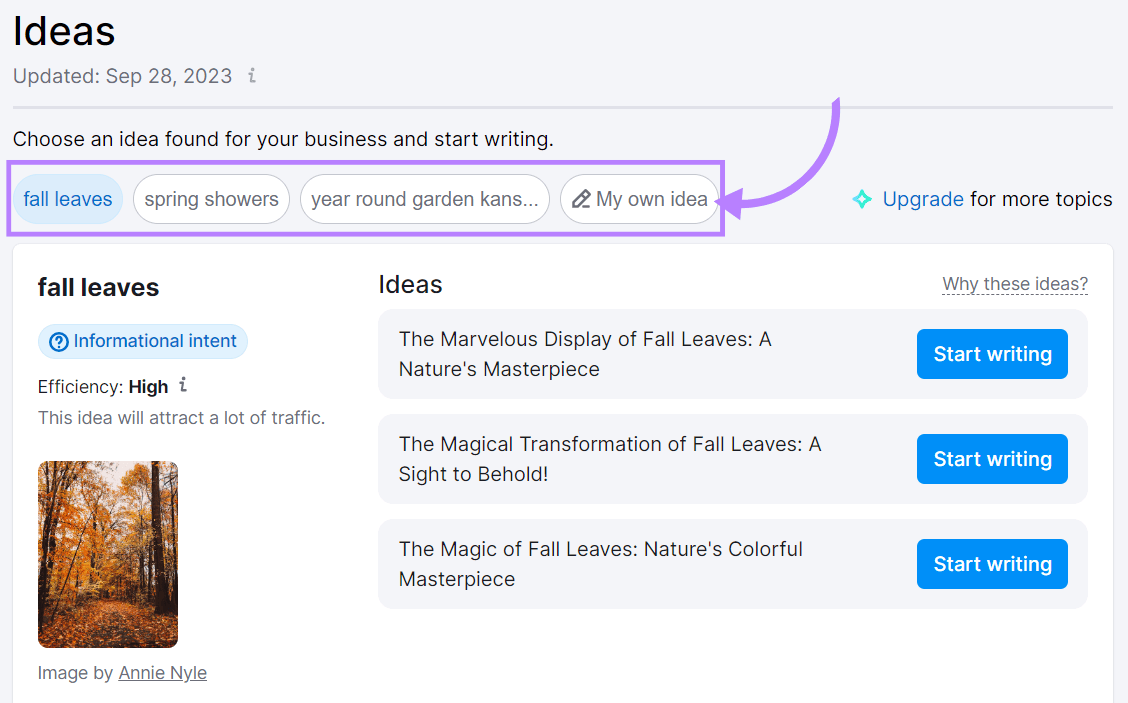 ContentShake AI's "Ideas" page